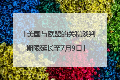 美国与欧盟的关税谈判期限延长至7月9日