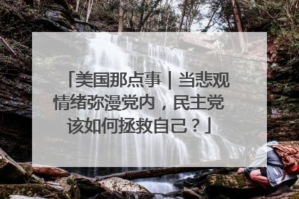 美国那点事｜当悲观情绪弥漫党内，民主党该如何拯救自己？