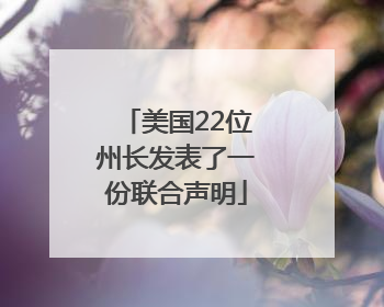美国22位州长发表了一份联合声明