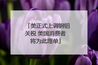 美正式上调钢铝关税 美国消费者将为此埋单