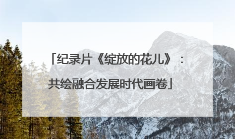 纪录片《绽放的花儿》：共绘融合发展时代画卷