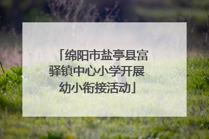 绵阳市盐亭县富驿镇中心小学开展幼小衔接活动