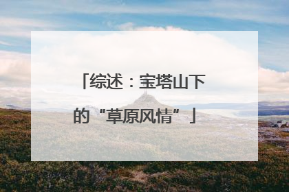 综述：宝塔山下的“草原风情”