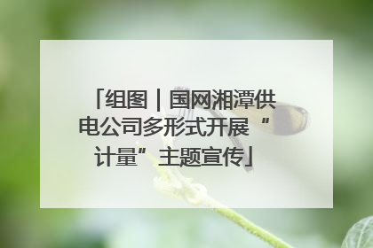 组图｜国网湘潭供电公司多形式开展“计量”主题宣传