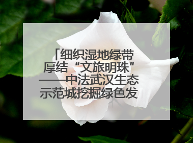 细织湿地绿带 厚结“文旅明珠”——中法武汉生态示范城挖掘绿色发展新动能