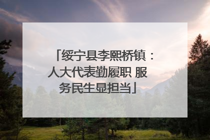 绥宁县李熙桥镇：人大代表勤履职 服务民生显担当