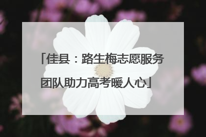佳县：路生梅志愿服务团队助力高考暖人心