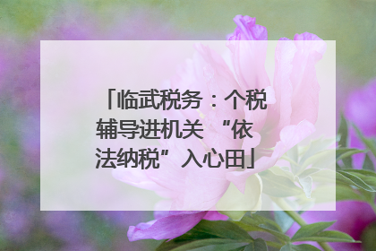临武税务：个税辅导进机关 “依法纳税”入心田