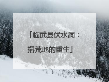 临武县伏水洞：撂荒地的重生