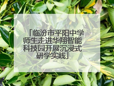 临汾市平阳中学师生走进华翔智能科技园开展沉浸式研学实践
