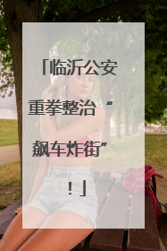 临沂公安重拳整治“飙车炸街”！
