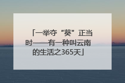 一举夺“葵”正当时——有一种叫云南的生活之365天