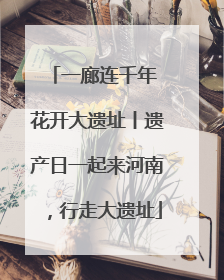 一廊连千年 花开大遗址丨遗产日一起来河南，行走大遗址