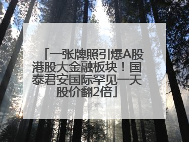 一张牌照引爆A股港股大金融板块！国泰君安国际罕见一天股价翻2倍