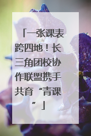 一张课表跨四地！长三角团校协作联盟携手共育“青课”