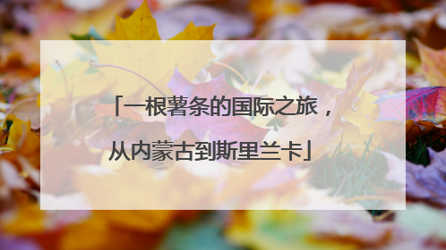一根薯条的国际之旅，从内蒙古到斯里兰卡