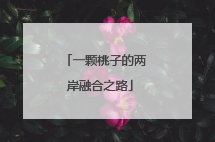 一颗桃子的两岸融合之路