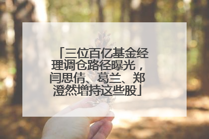 三位百亿基金经理调仓路径曝光，闫思倩、葛兰、郑澄然增持这些股
