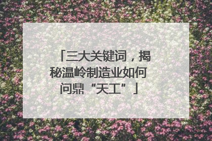 三大关键词，揭秘温岭制造业如何问鼎“天工”