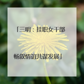 三明：挂职女干部畅叙情谊共谋发展
