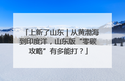 上新了山东｜从黄渤海到印度洋，山东版“零碳攻略”有多能打？