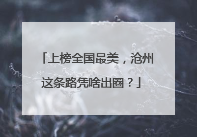 上榜全国最美，沧州这条路凭啥出圈？