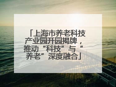 上海市养老科技产业园开园揭牌，推动“科技”与“养老”深度融合