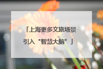 上海更多文旅场景引入“智慧大脑”