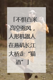 不惧百米高空强风，人形机器人在燕矶长江大桥走“猫道”