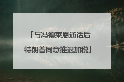 与冯德莱恩通话后 特朗普同意推迟加税