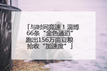与时间竞速！淄博66条“金色通道”跑出156万亩夏粮抢收“加速度”