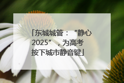东城城管：“静心2025”，为高考按下城市静音键