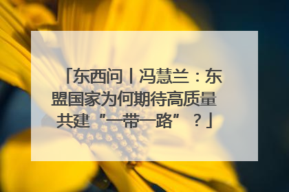 东西问丨冯慧兰：东盟国家为何期待高质量共建“一带一路”？