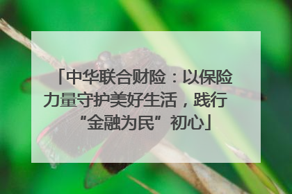 中华联合财险：以保险力量守护美好生活，践行“金融为民”初心