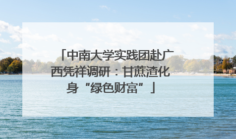 中南大学实践团赴广西凭祥调研：甘蔗渣化身“绿色财富”