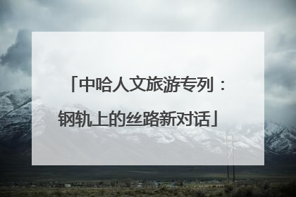 中哈人文旅游专列：钢轨上的丝路新对话