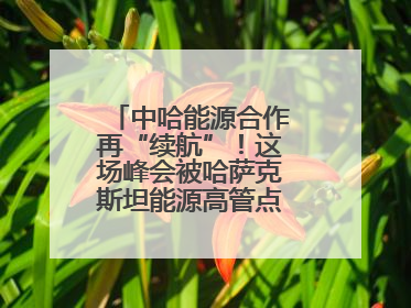 中哈能源合作再“续航”！这场峰会被哈萨克斯坦能源高管点赞“加油”