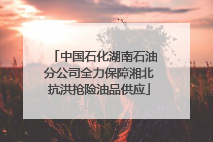 中国石化湖南石油分公司全力保障湘北抗洪抢险油品供应