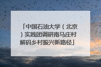 中国石油大学（北京）实践团调研南马庄村解码乡村振兴新路径