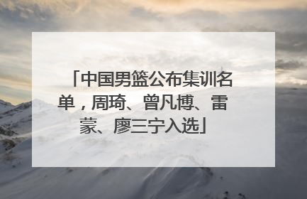 中国男篮公布集训名单，周琦、曾凡博、雷蒙、廖三宁入选