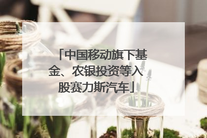 中国移动旗下基金、农银投资等入股赛力斯汽车