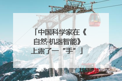 中国科学家在《自然·机器智能》上露了一“手”