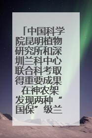 中国科学院昆明植物研究所和深圳兰科中心联合科考取得重要成果 在神农架发现两种“国保”级兰花