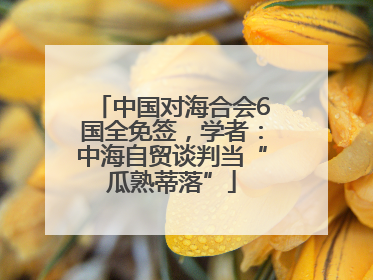 中国对海合会6国全免签，学者：中海自贸谈判当“瓜熟蒂落”
