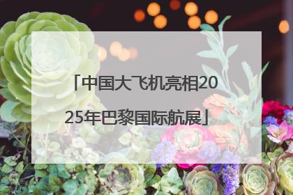 中国大飞机亮相2025年巴黎国际航展