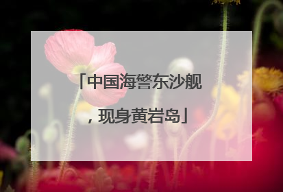 中国海警东沙舰，现身黄岩岛