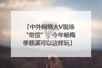 中外网络大V现场“带货”，今年杨梅季慈溪可以这样玩