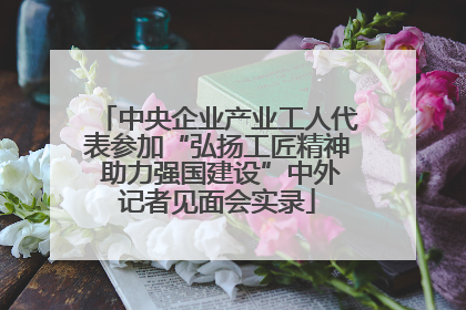 中央企业产业工人代表参加“弘扬工匠精神 助力强国建设”中外记者见面会实录