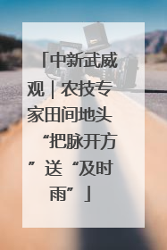 中新武威观｜农技专家田间地头“把脉开方”送“及时雨”