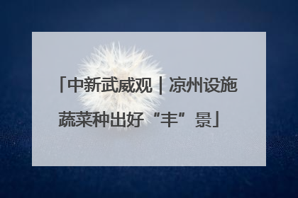 中新武威观｜凉州设施蔬菜种出好“丰”景